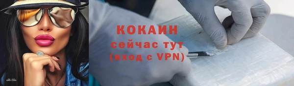шишки Армянск