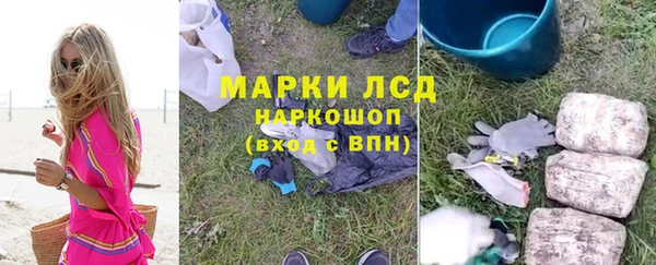 шишки Армянск