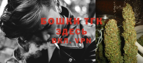 шишки Армянск