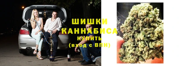 шишки Армянск
