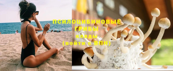 шишки Армянск