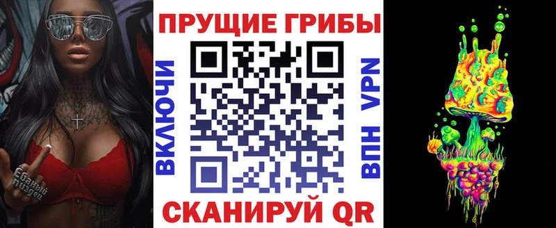 Псилоцибиновые грибы прущие грибы  ОМГ ОМГ зеркало  Мещовск 
